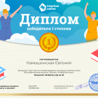 Диплом первой степени.png